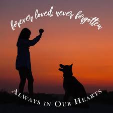 So it was just right that we had him there. inspirational story about a final goodbye goes viral. Pet Loss Quotes Poems More To Honor Your Furry Friend Urns Online
