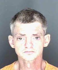 15 years for sex crime in ice cream truck