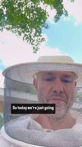 A Queen-less hive is not good for anyone. I started this little hive as a  split. I found a hive that was looking to swarm and took the queen cell and  placed it in a separate hive. However, the queen ...