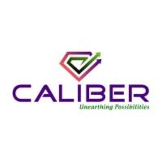 Caliber Mining & Logistics announces Rs 450-crore IPO, opens July 17 - The Economic Times