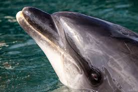 Матуре телеграм every activities were all loved and she