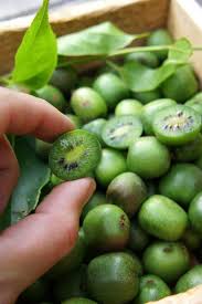 Cocktail Kwis Super Sweet Mini Kiwis With Fuzz Free Edible Skin Hardy Down To 35c Fruit Garden Edible Garden Food Garden
