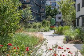 Epingle Sur Coeur D Ilot