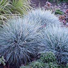 Pin En Landscape Design Made Easy