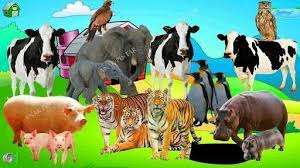 There are certain specific names that are given to the young ones of different animals. 10 Nama Hewan Dalam 3 Bahasa Indonesia Aceh Inggris 10 Names Of Animals In 3 Languages Indonesian Aceh English Steemit