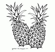 Mewarnai Buah Nanas Contoh Gambar Mewarnai Nanas Buah Warna