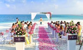 Top 10 Ways to Use Rose Petals for any Events