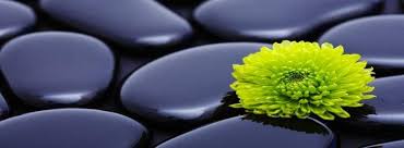 Kết quả hình ảnh cho thiền