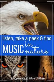 How To Be A Sleuth And Find Animals Making Music In Nature Music Activities For Kids Teaching Music Music Activities
