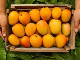 Check spelling or type a new query. Side Effects Of Mango You Should Know Misskyra Com