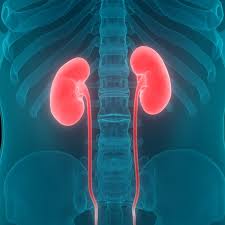 3 Types Of Kidney Transplant In 2020 Kidney Transplant Renal Disease Kidney Treatment