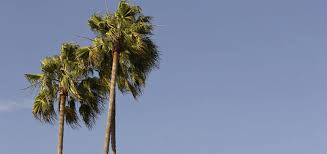 A great place to grow. Why Ventura County Is A Great Place To Grow Your Business