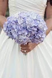 Purple rose bouquet wedding | silk wedding flowers | cheap bridal bouquets | bridesmaid bouquets | artificial wedding bouquets (two dozen roses) msrp: Purple Hydrangea Bouquet Christina Karst Photography Theknot Com Purple Hydrangea Bouquet Flower Bouquet Wedding Hydrangea Bridal Bouquet