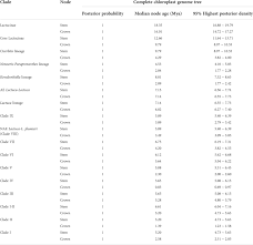 Image result for Lactuca lasiorhiza