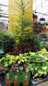Award Winning Perennial Shrub Display Sipkens Nurseries Garden Center Ideas Garden Centre Displays Perennial Shrubs