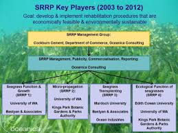 3 Organisational Chart For The Seagrass Research And
