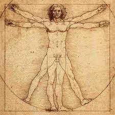 Mkp Europe Francophone Bienvenue Sur Le Site De Mkpef Da Vinci Leonardo De Vinci Homme De Vitruve