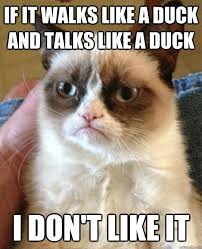 If It Walks Like A Duck And Talks Like A Duck I Don T Like It Grumpy Cat Quickmeme