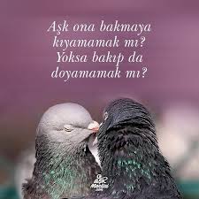 Fotograf Aciklamasi Yok Ask Yeni Ask Sozleri Romantik Sozler
