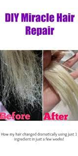 Diy Miracle Hair Repair Recipe Hair Repair Coconut Oil Hair Bleached Hair