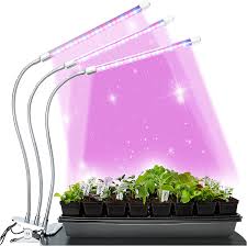 Yes, plants need light to grow and thrive, but they also need that period of darkness to rest and focus on respiration instead of photosynthesis (read about that in my post about the necessity without the warmth of sunlight, indoor plants under artificial lights often need less water than you would expect. Amazon Com Brite Labs Led Grow Light For Indoor Plants Increase Growth In Seed Starting Seedling Succulent Small Plant Lights For Indoor Growing Artificial Lighting Clip On Desk