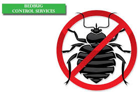 The dry and cold weather of bangalore can be a happy breeding ground for many unsightly and disease with our extensive branch network in bangalore, a rentokil pci pest control expert is always near you. Bed Bug Control Bangalore Bed Big Removal Services Bed Bug Control Services In Bangalore Specific Home Services