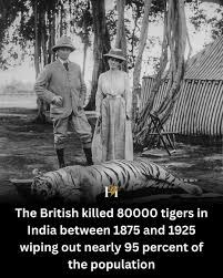 Between 1875 and 1925, India's wild ...