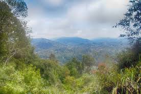 Unbeknownst to us, many of the attractions in the park, like overnight trekking, were the canopy walk is over 500 meters in length, made up of several bridge segments. Taman Negara Das Grune Herz Malaysias Ferngeschehen