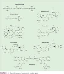Image result for Succinylcholine