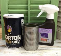They can be used in many applications, such as storing spice, herb, condiments, candies, . How To Make Rusty Cans Tin Can Crafts Tin Can Art Primitive Decorating