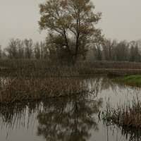 Sacramento District welcomes home Afghanistan volunteers (6751841937)