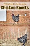 All You Need To Know About Chicken Roosts | Life At Cobble ...