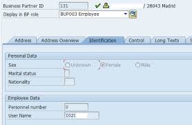 Business Partners Bp How To Work With Them In Sap Solution Manager 7 1 And 7 2 Change Request Management Solution Manager Community Wiki