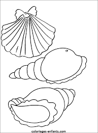 coloriage des coquillages dessin gratuit a imprimer livre de du 4 juillet