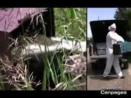 Is dedicated to the highest quality of customer service. Absolute Pest Control Inc Opening Hours Ab