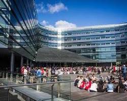 Image of Faculty of Business and Economics International Student Scholarships, University of Auckland