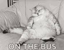 See more ideas about quotes, funny quotes, sarcastic quotes. Lazy Fat Cat Gifs Tenor