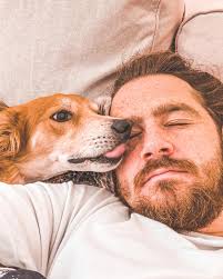 Joe Mango (@joemango_official) • Instagram photos and videos