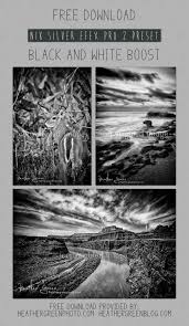 Black And White Presets For Lightroom Free Download Free Download Nik Silver Efex Preset