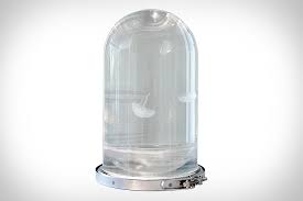 Get the right diy products in your home to take care of your pets in the aquarium. Darwin Jellyfish Tank Uncrate