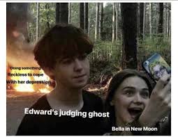 Pin By Natalie Steele On Twilight Renaissance Twilight Funny Twilight Memes Twilight Facts