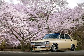 Image result for Federal Standard Yellow 1969 Bluebird