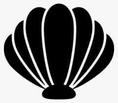 Maybe you would like to learn more about one of these? Sea Shell Conch Shell With No Background Transparent Png 749x583 Free Download On Nicepng