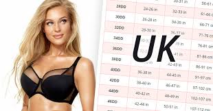 7/8 inch = 22.2 mm = 2.22 cm: British Uk Bra Sizes In Inches And Centimeters
