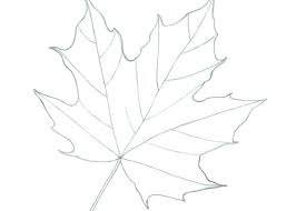 Download 10,717 leaf draw free vectors. How To Draw A Maple Leaf In 3 Steps Easydrawingtips