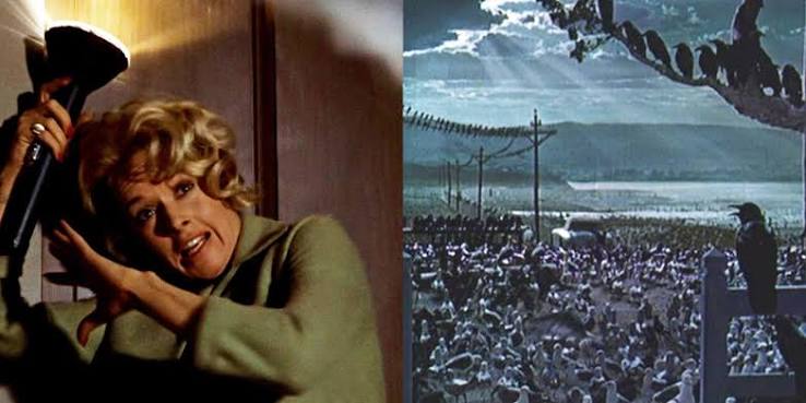 The Birds: 7 Things That Still Hold Up Today