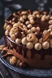 Entremet Chocolat Praline Amuses Bouche Entremet Chocolat Entremet Chocolat Facile Recette Entremet Chocolat