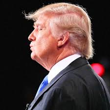 Investors Panic as Trump Begins Doing All the Crazy Things He Said He'd Do 