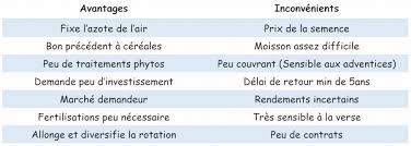 Maybe you would like to learn more about one of these? Lentille Une Legumineuse Ideale Pour Diversifier Son Assolement