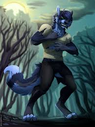 Furru Wolf Anthro Furry Furry Drawing Furry Art